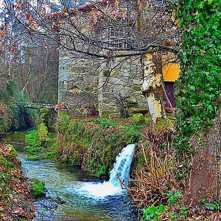 Quinta Da Lagarta Farm stay Braga