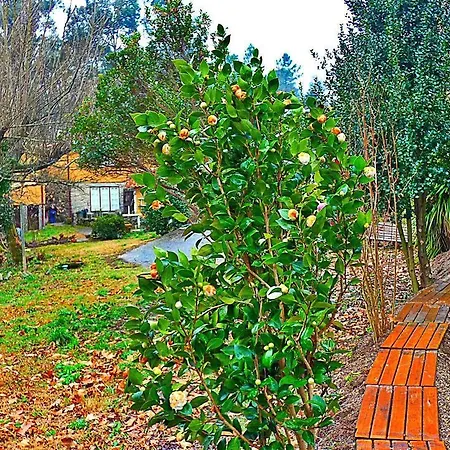 Quinta Da Lagarta * Braga