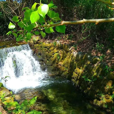 Quinta Da Lagarta Farm stay